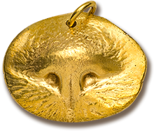Load image into Gallery viewer, <span>Custom Gold</span> Pet Nose Print Pendant