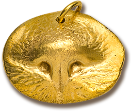 <span>Custom Gold</span> Pet Nose Print Pendant